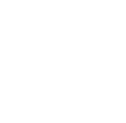FDN
